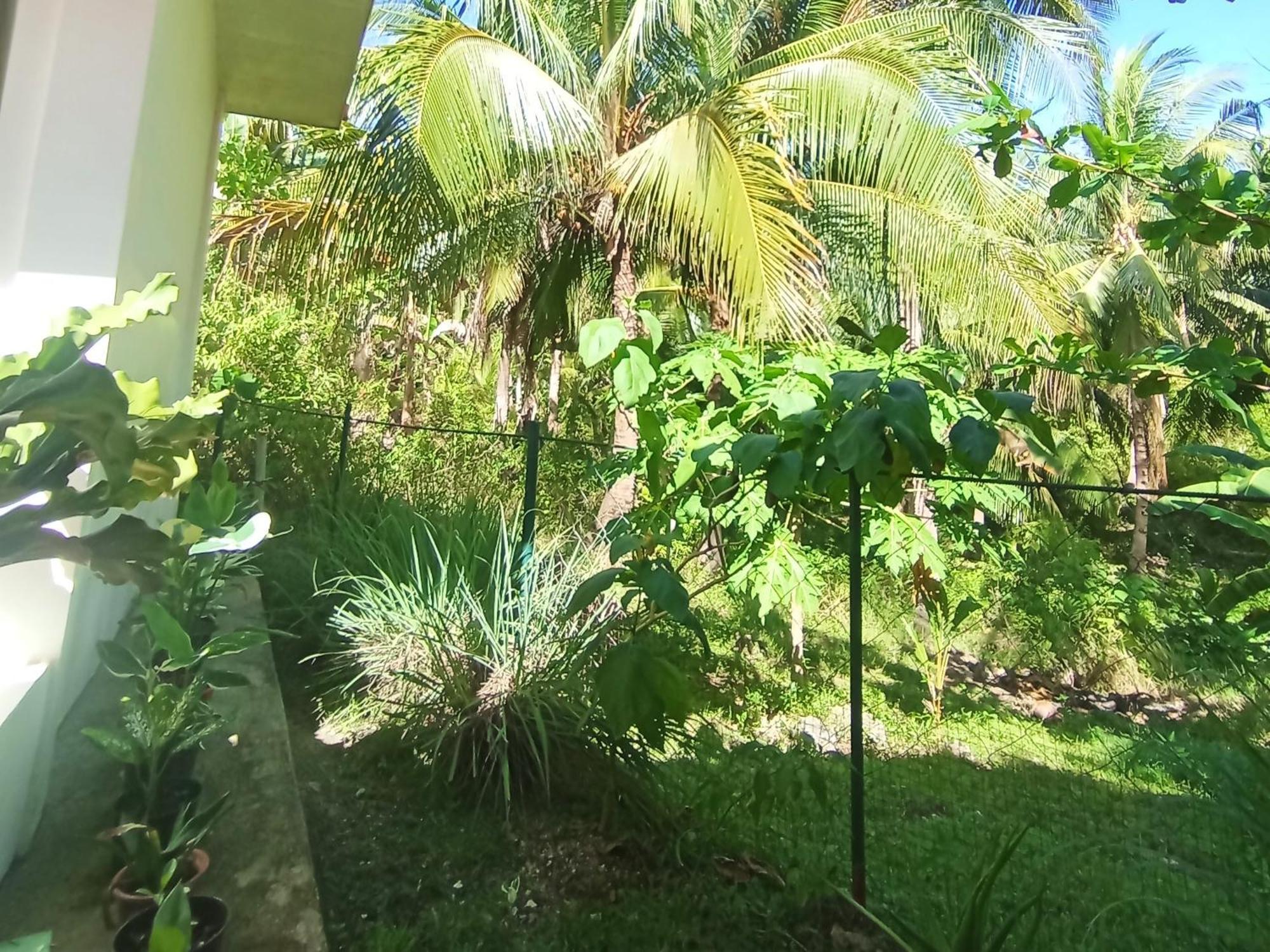 Rose Apartments 安达 外观 照片